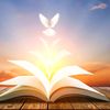 The Word