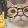 seek_r6