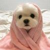 iamu_butwhoami