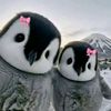 ahmed.satoru