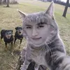ami._79