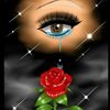 user78083877950454