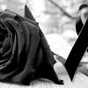 abigail.camey