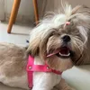 eunala_dogue
