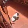 anhlongbewbew