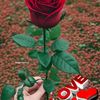 malikmubashir6012