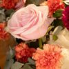 hanan.begum