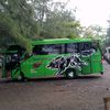 boy.green82
