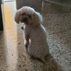 katya.rio