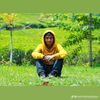 peri.maulana6