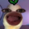 oareocreamy