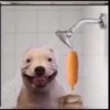 dorkaaa_luvs
