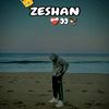 zeeshan.mughal.king