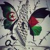 hamida.gh