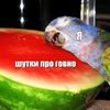 acidxlate