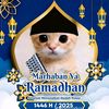 afif.398