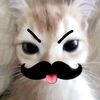 im._.ayroxxx