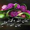 user4811025297093