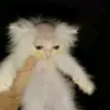 how_didi_geth3r3