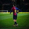 amir.m281