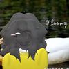 floomy.grayhems