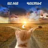 iyal_nom