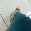 ayahm069