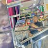 dayomi241