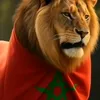 abdo.haki
