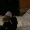 qwesdeer69