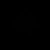 royi8149