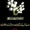 ali.sher.dar.1575