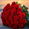ahmadi01563