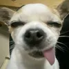 user.151011