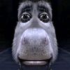 max_sigma0