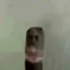blanurd