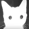 dat_nooby