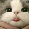 douae.douaae