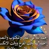 mimoun.el.farssi