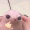 nissaguzman