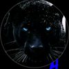 halim.zzzooo