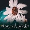user5523523666017