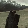 askhh68