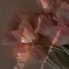 k_panna5