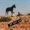 heibq1
