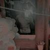 tuloquito751