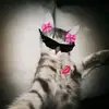 la_.japonesa8