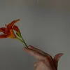 sha_dow39_