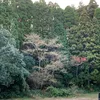 abcjjl112233