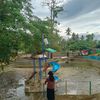 harnidarwis